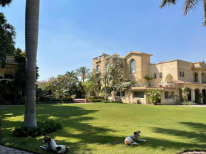 Spacious Guesthouse Near the pyramids